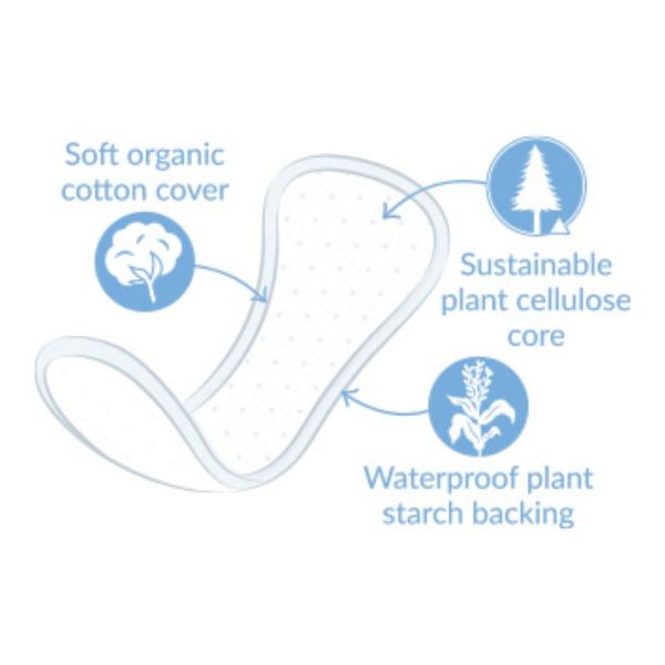 Anatomical Panty Liners